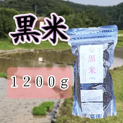 agriart-kuromai-1200g