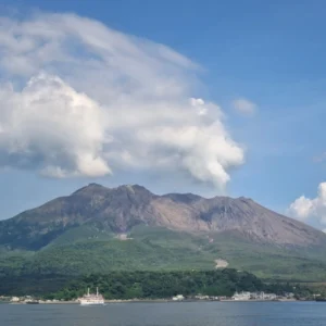 桜島産 極上シャインマスカット（350g X 6房) 【9月中旬まで】